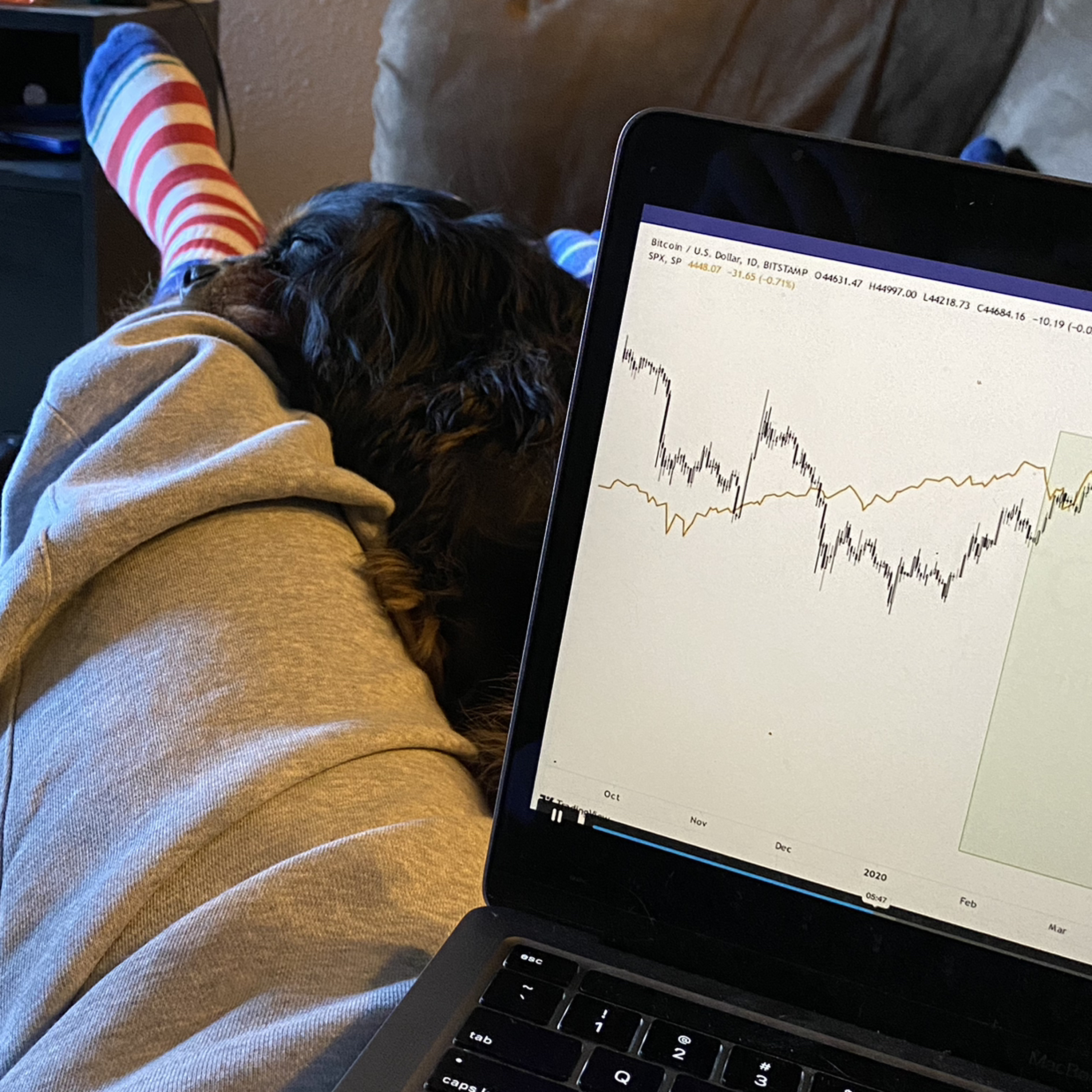 Burch\'s Audio Experience