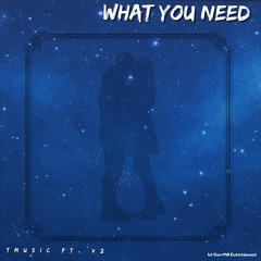 What You Need Feat. V2