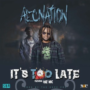 Aecnation Too - Late - Ft - HatMic