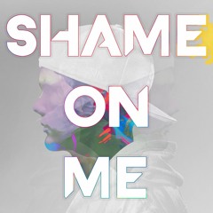 Avicii - Shame on me (Emily Remix)
