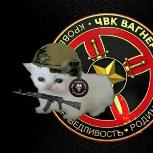 СВАГА (повтор мема) фулл в профиле
