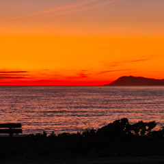 TRAVEL TO ORANGE DREAMS