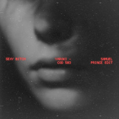 Sexy Bitch [Samuel Prince 'CoD 503' Edit]