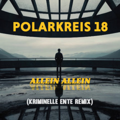 Polarkreis 18 - Allein Allein (Kriminelle Ente Remix)