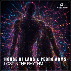 House of Labs & Pedro Arms - Lost In The Rythm (Original Mix) **OUT NOW**