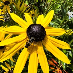 Perfect Fractures           [Free Download]