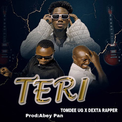 Teri (feat. Dexta Rapper)