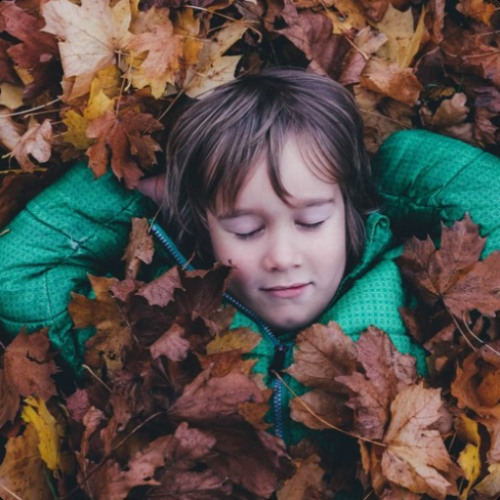 Geleide meditatie: de Bodyscan