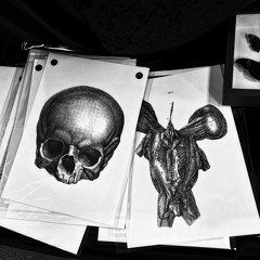 DONT TRIP FT LIL KAVA