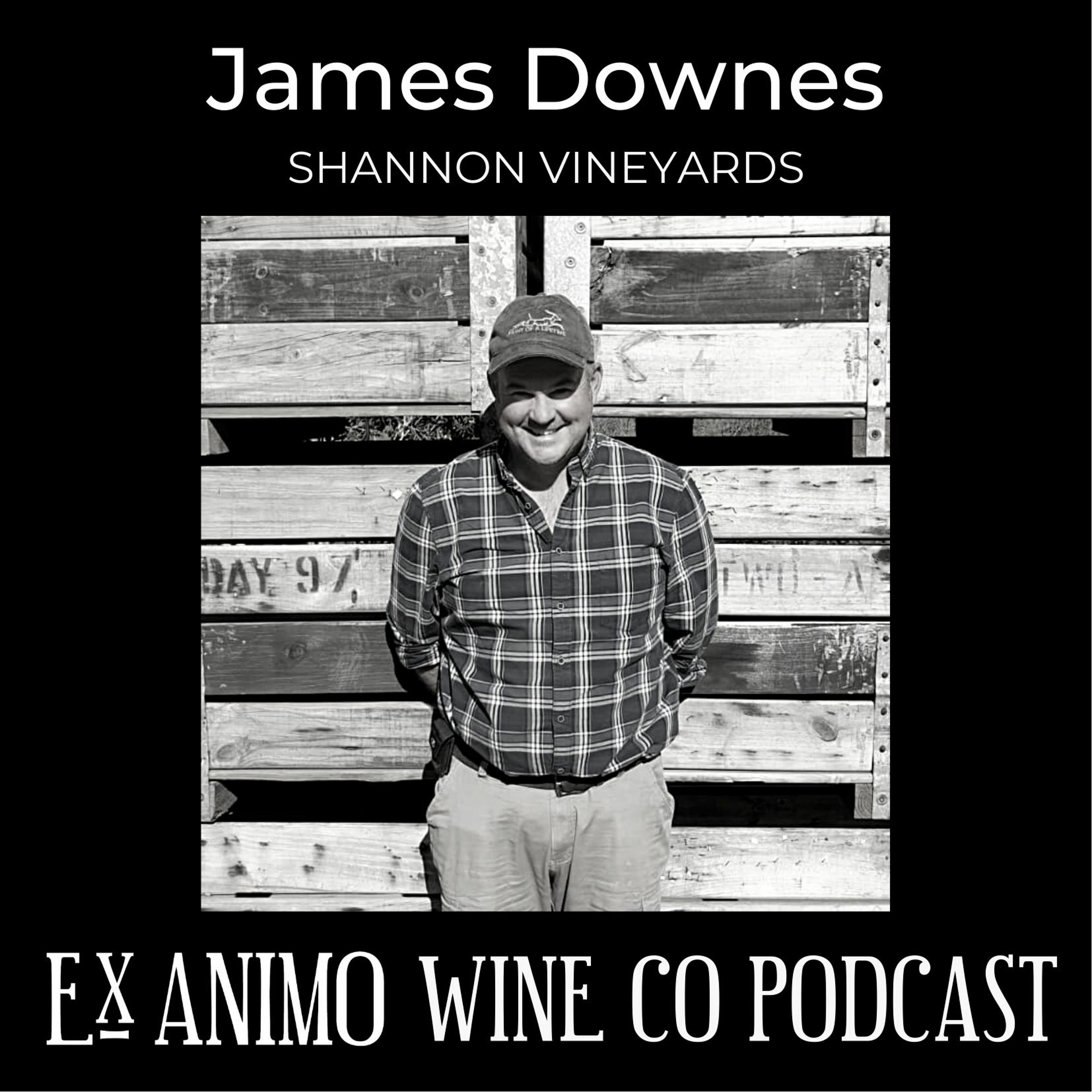 James Downes, Shannon Vineyards