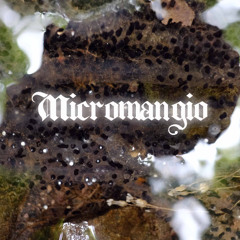 Micromangio