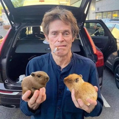 override x chicken itza