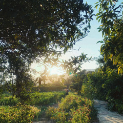 Excerpts (Sunlight/Moonlight)