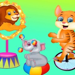 Đi Hóa Thú Đi - Happy Birthday Bún  - Hiếu Ck