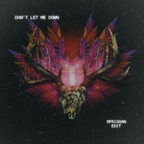 DON'T LET ME DOWN (SPRIGGAN EDIT)