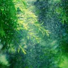 usual climate