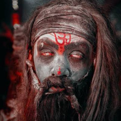 OM NAMAH SHIVAYA ॐ नमः शिवाय मंत्र