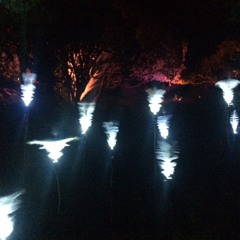 Im Keller da Umpft es Feb24