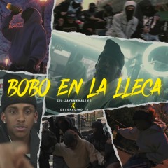 BOBO EN LA LLECA