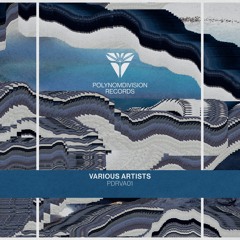 Polynomdivision 01 - PDRVA01 - Various Artists - Previews