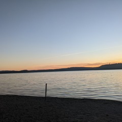 First Song - The Cage