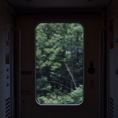 phosphorescence Dub