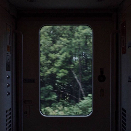 phosphorescence Dub