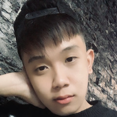 REC 141 - SINZ