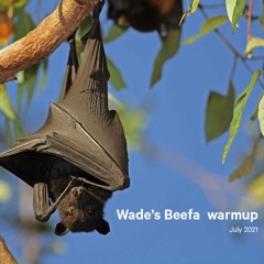 Beefa - Warmup