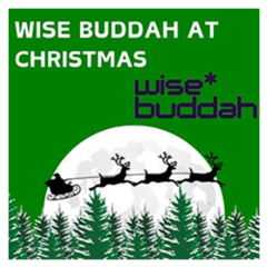 NEW: Wise Buddah Mini Mix #65 - BBC Radio 2 (2013) - Christmas (Custom)