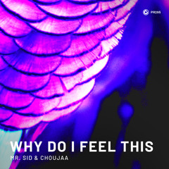 Mr. Sid & Choujaa - Why Do I Feel This (Extended Mix)