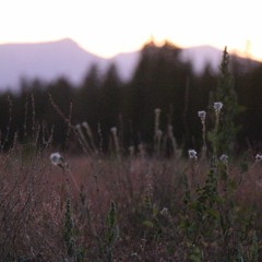 Luke and June - "Glowing Meadows"