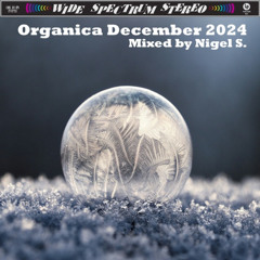 Organica December 2024: Mixed by Nigel S.