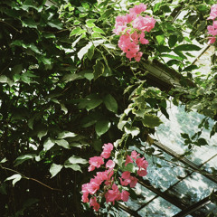 lip syncing the wrong lyrics