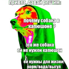 перекрасил слона в зелёный цвет в МФЦ с помощью тулупа вода: чо ты кот пеш меня кот: просто.mp3