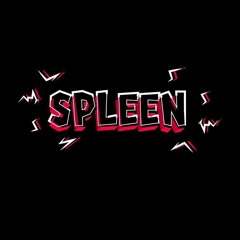 DJ SPLEEN An Exciting MIXSET.WAV