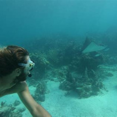 Review Special Price Afternoon Half Day Cruise From Providenciales With Snorkeling And Iguana Island