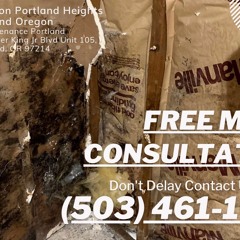 Mold Remediation Portland Heights Portland Oregon - Pure Maintenance Portland - 503-461-1006