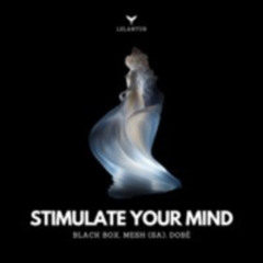 MESH (SA), DOBé, Black Box - Stimulate Your Mind (Original Mix)
