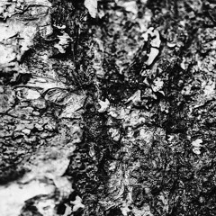 Gunna X Wheezy X Nafe Smallz X Young Adz X Mhuncho Type Instrumental - Coasting