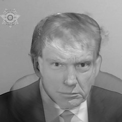 PEDO-FILES (DJT Mix)