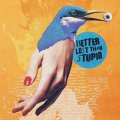 Better Lost Than Stupid - Harder Than Gold (Maher Daniel Remix)