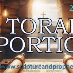 Torah Portion Week 1 - B’reisheet - In the Beginning (2024-2025)