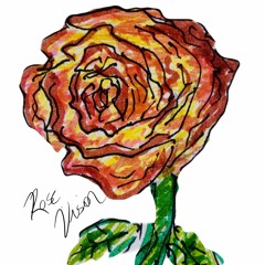 URCHIN - ROSE VISION