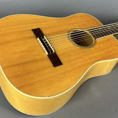 1966 Goya TS5 12string Slide Demo v2342