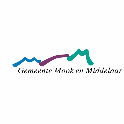 Raadsvergadering Mook & Middelaar – Arjen Vonk