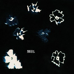 Seck - Whatever