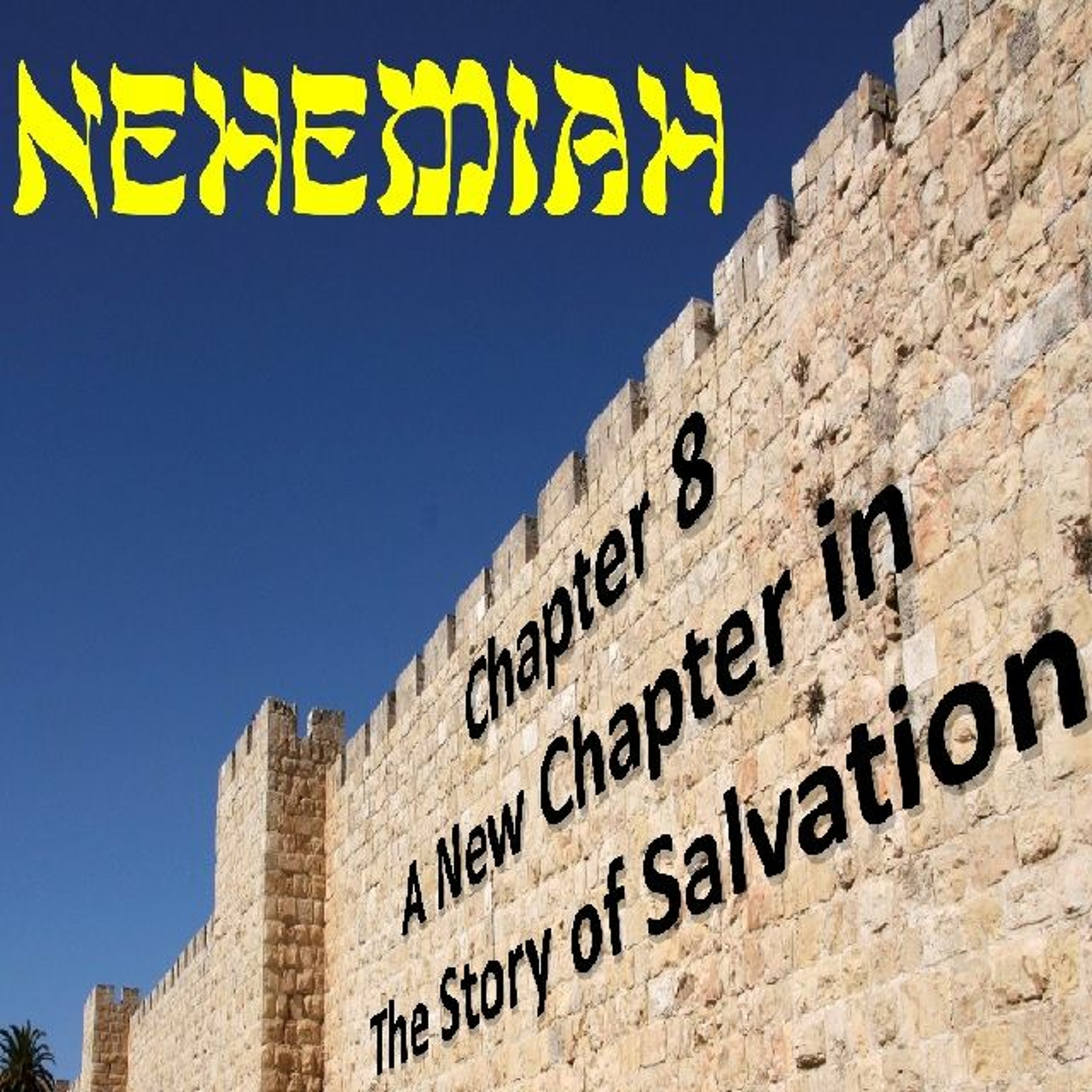 Dieter Reitzner: A New Chapter in the Story of Salvation (Nehemiah 8) episode artwork