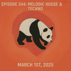 Episode 244: Melodic House & Techno.(Mar 1st, 2025)