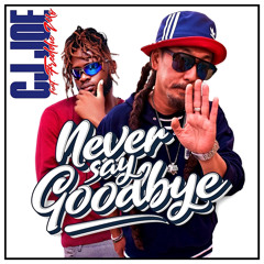 CJ Joe Ft Freddie Mo - Never Say Goodbye